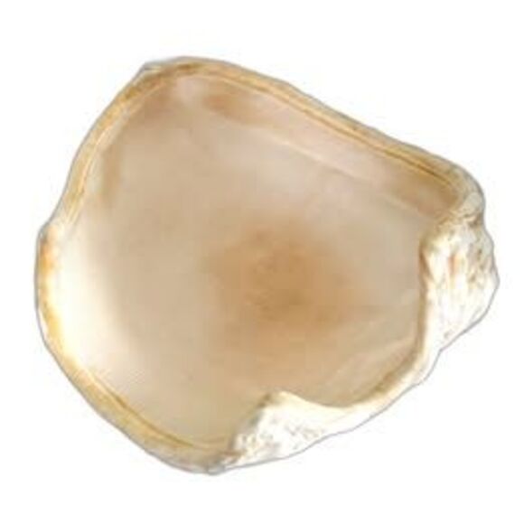 1950s Cream Satin Ribbon and Aurora Borealis Sequin Evening Hat - Picture 5 of 5